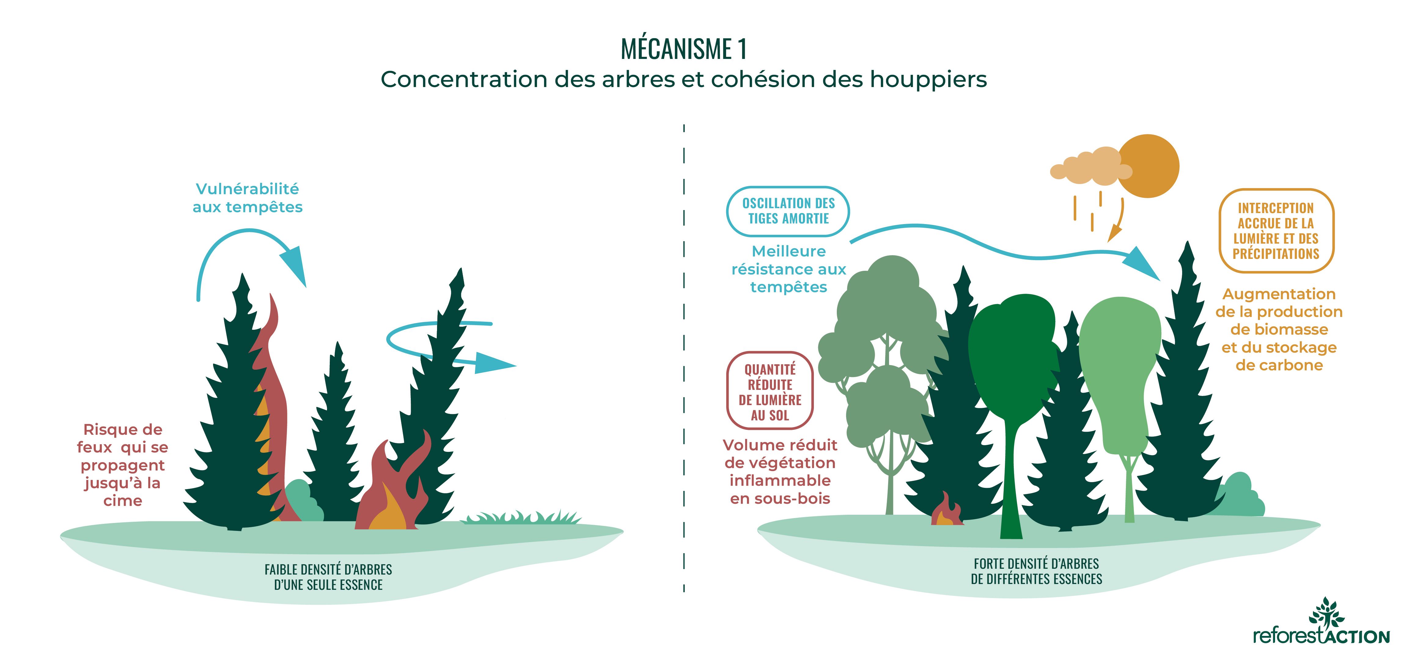 01_mecanisme_concentration.FR.jpg
