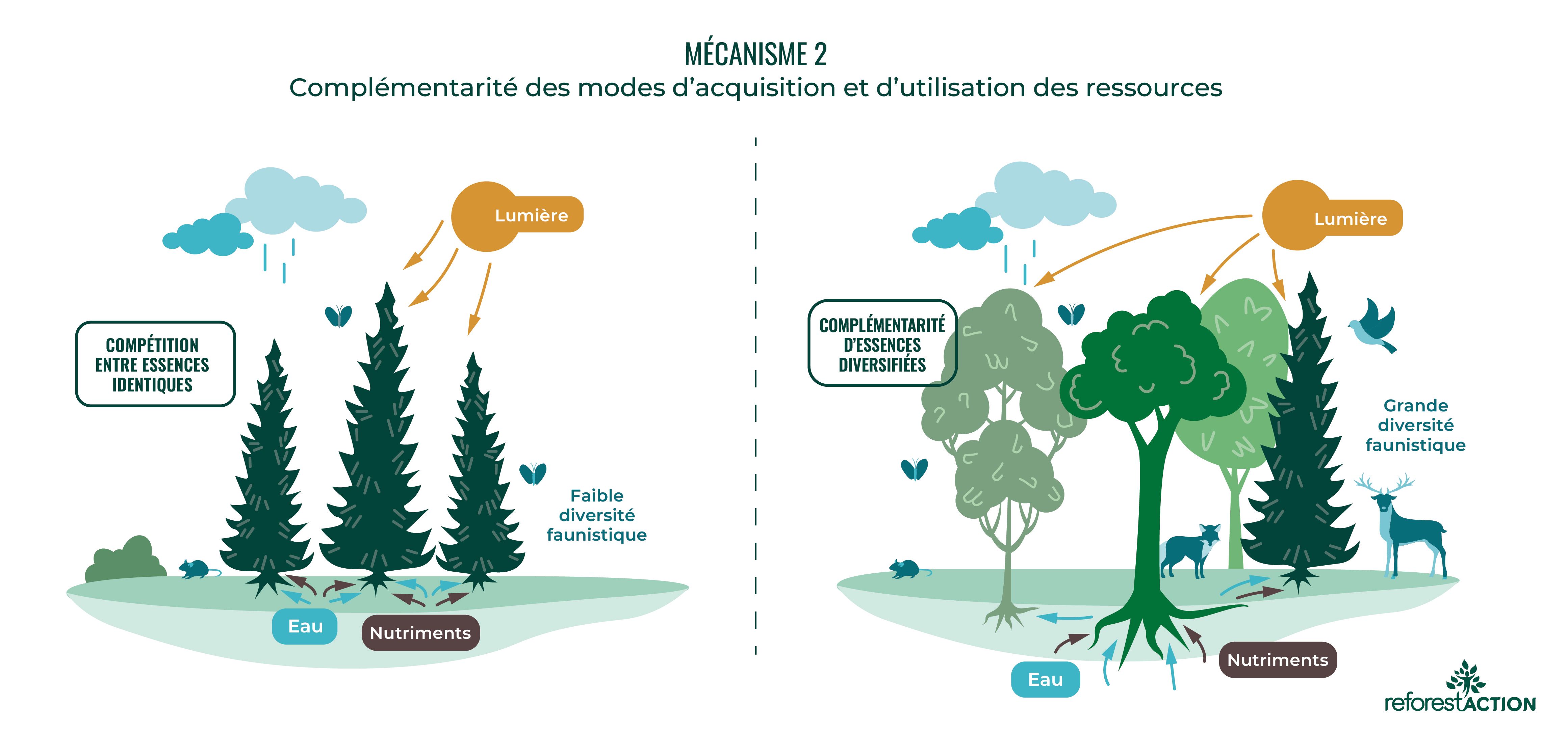 02_mecanisme_complementarite_FR.jpg
