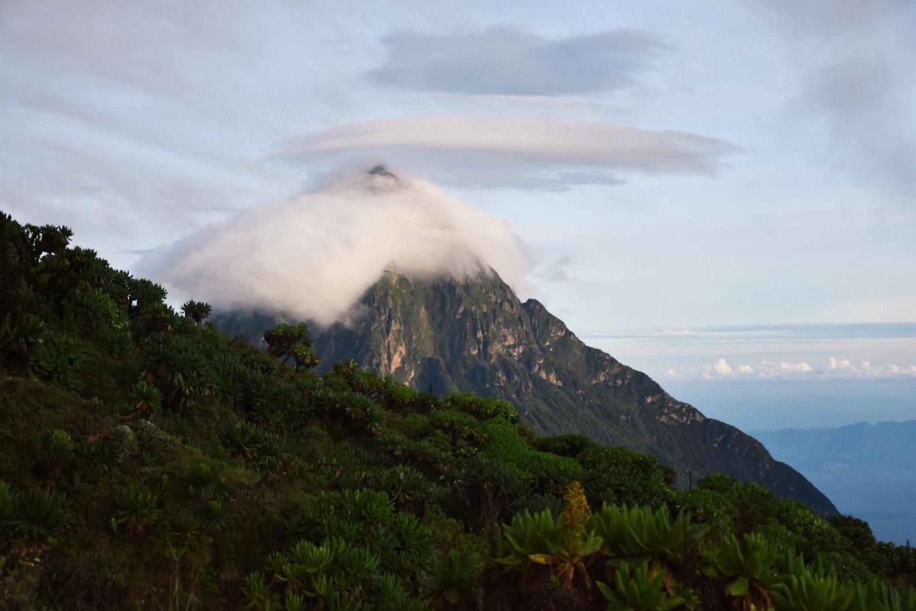 3 Volcan Karisimbi.jpg