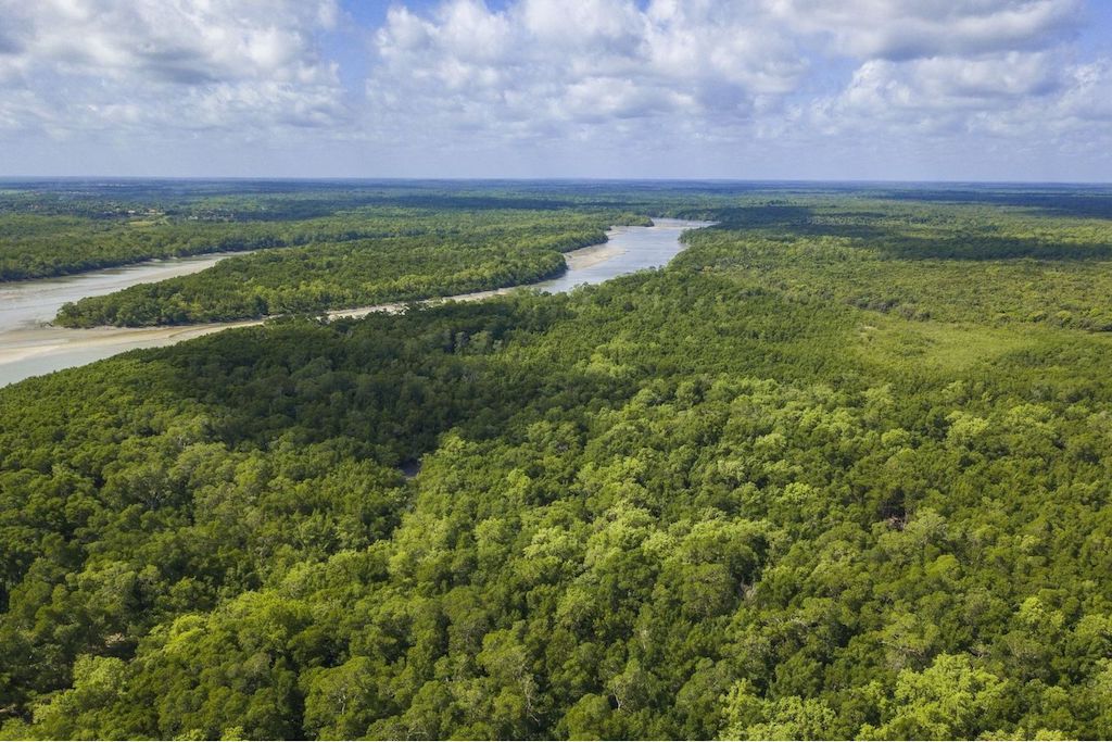 Adriana article web 2.jpg