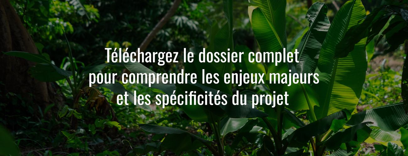 Banniere-CTA-Togo.jpg