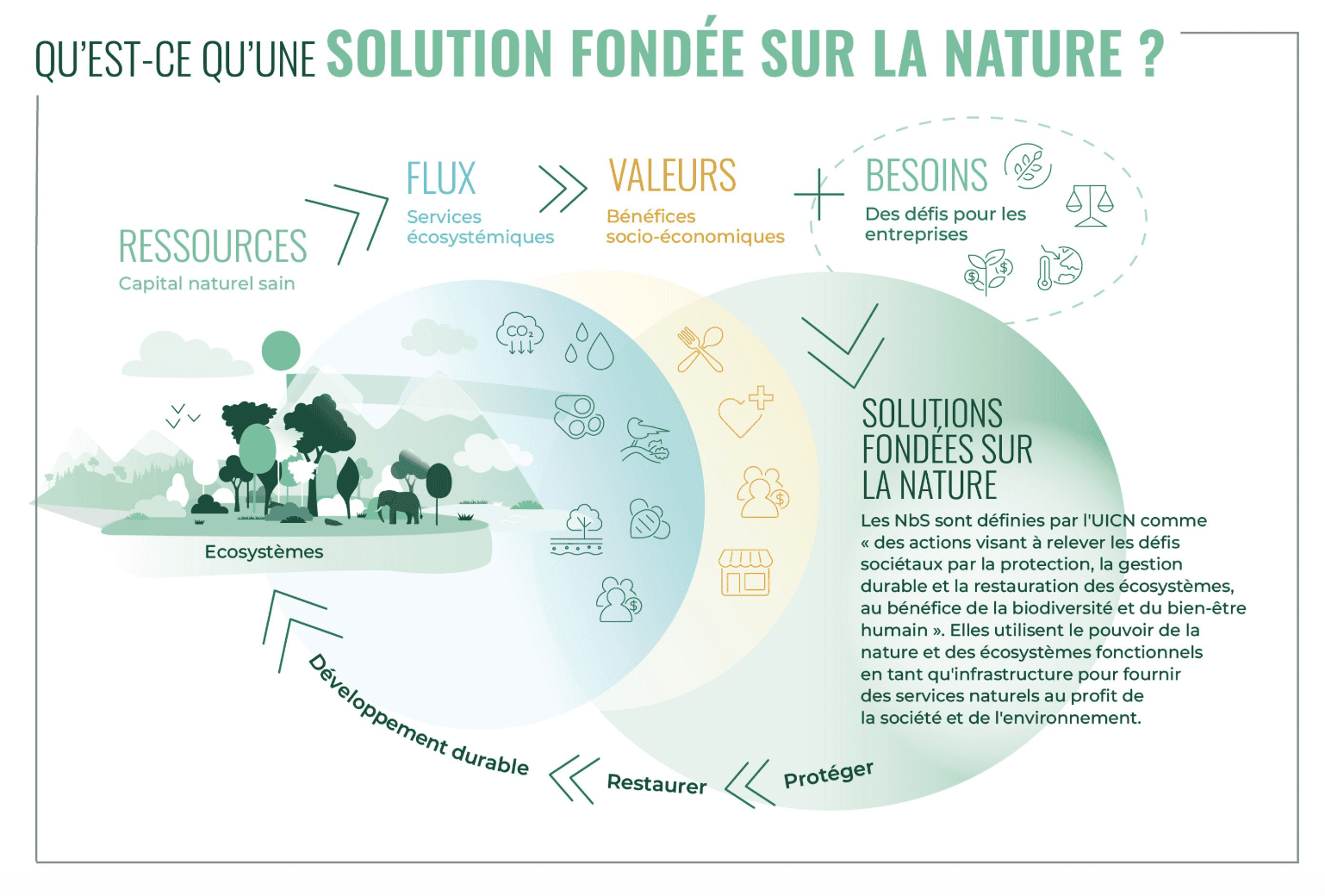 Capture d’écran 2025-10-27 à 12.13.14.png