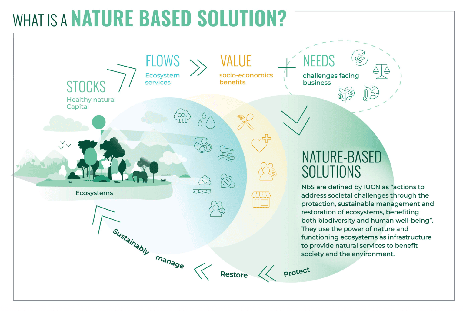 Capture d’écran 2025-10-28 à 15.25.48.png