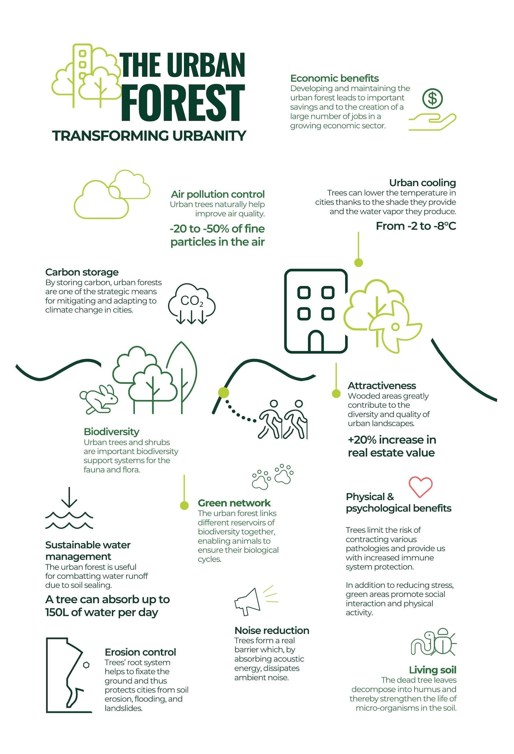 EN SOLUTIONS Infographics Urban Forest.jpg