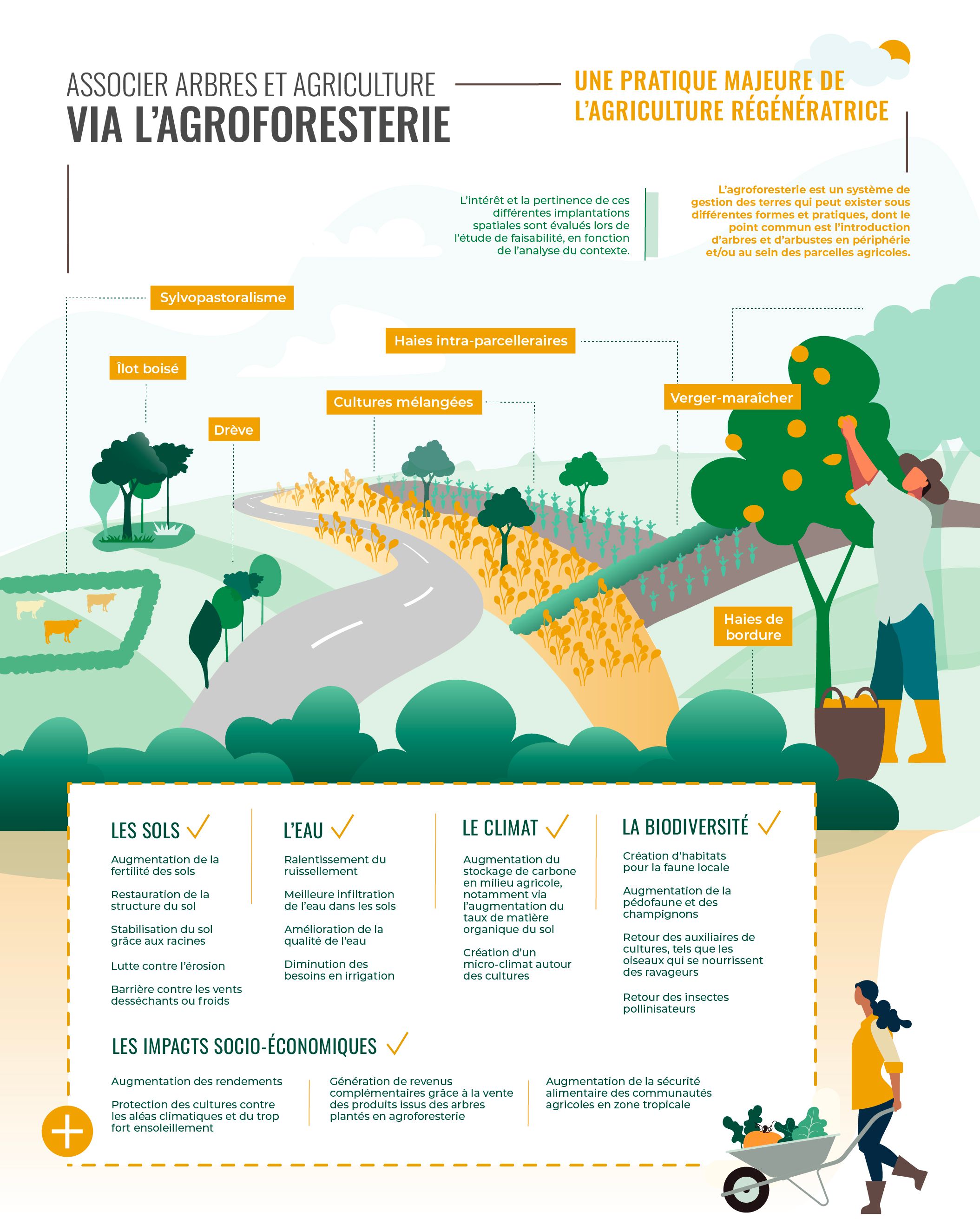 FR_agroforesterie.jpg