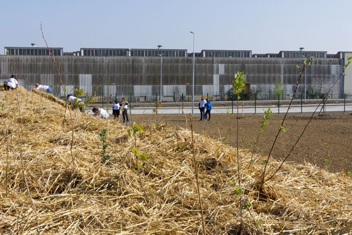 Foret-urbaine-Aulnay.jpg