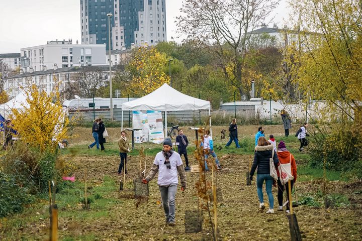 Forêt-urbaine-Reims-2.jpg