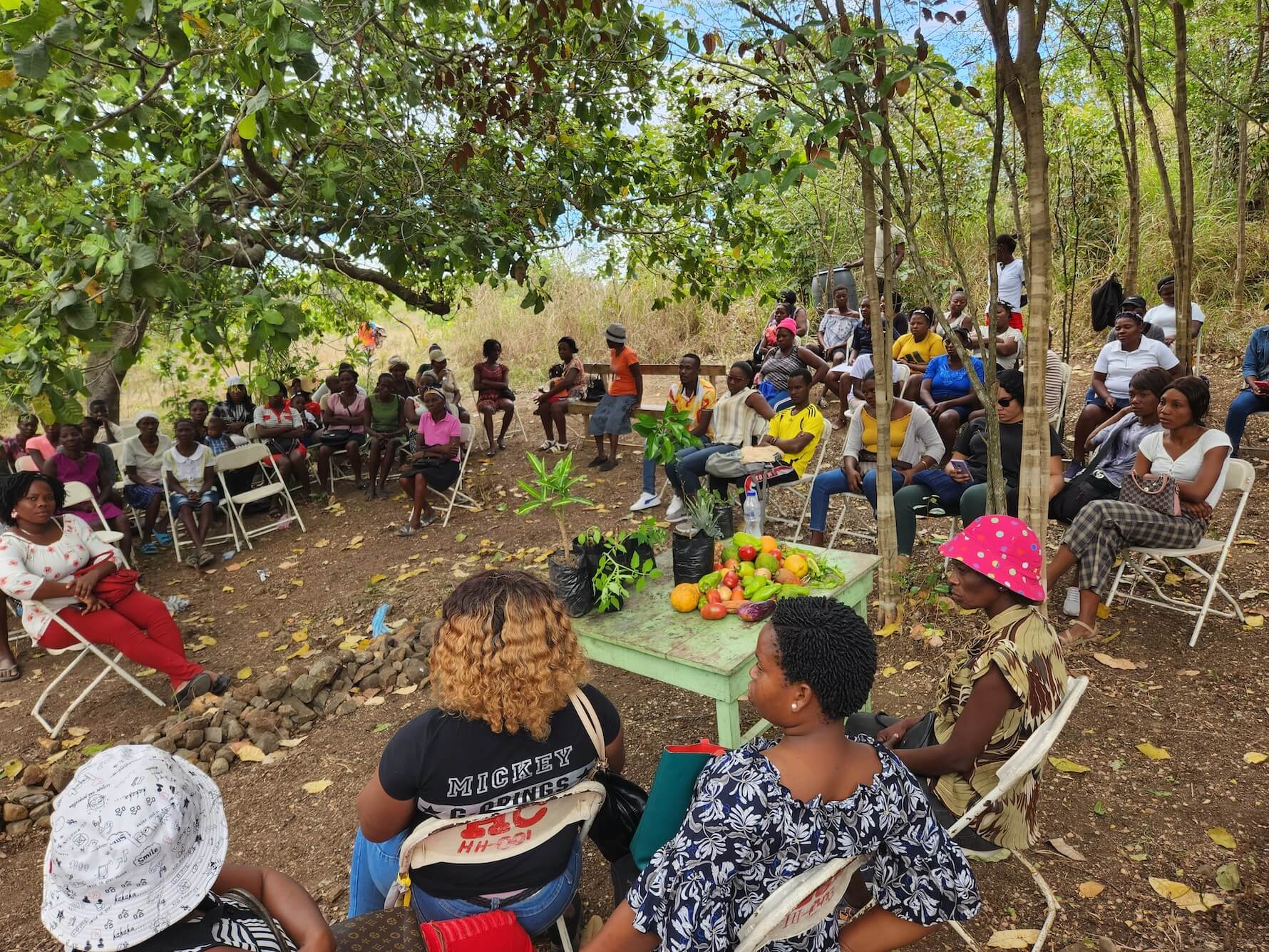 Haïti formation 1.jpg