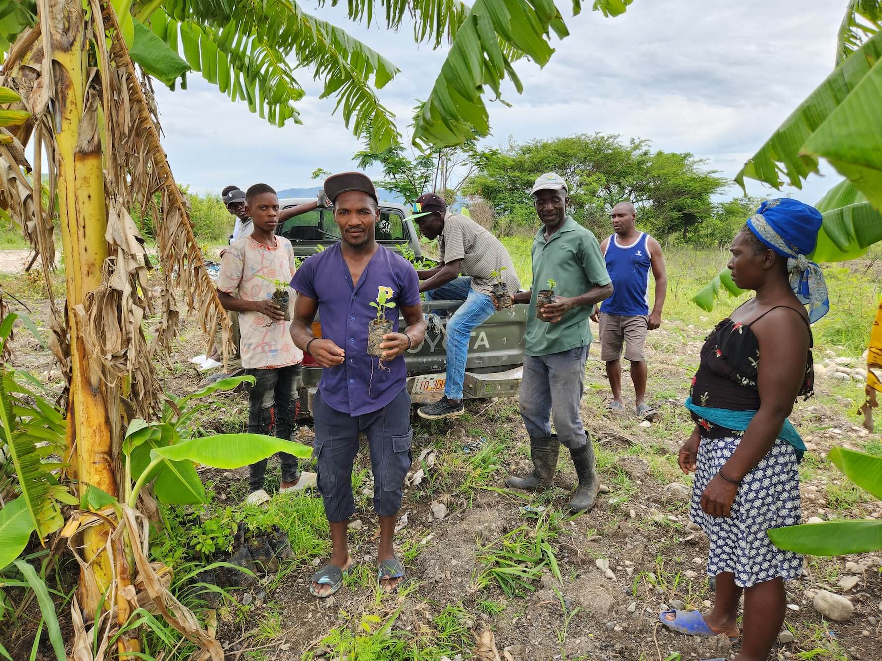 Haïti plantation 2.jpg