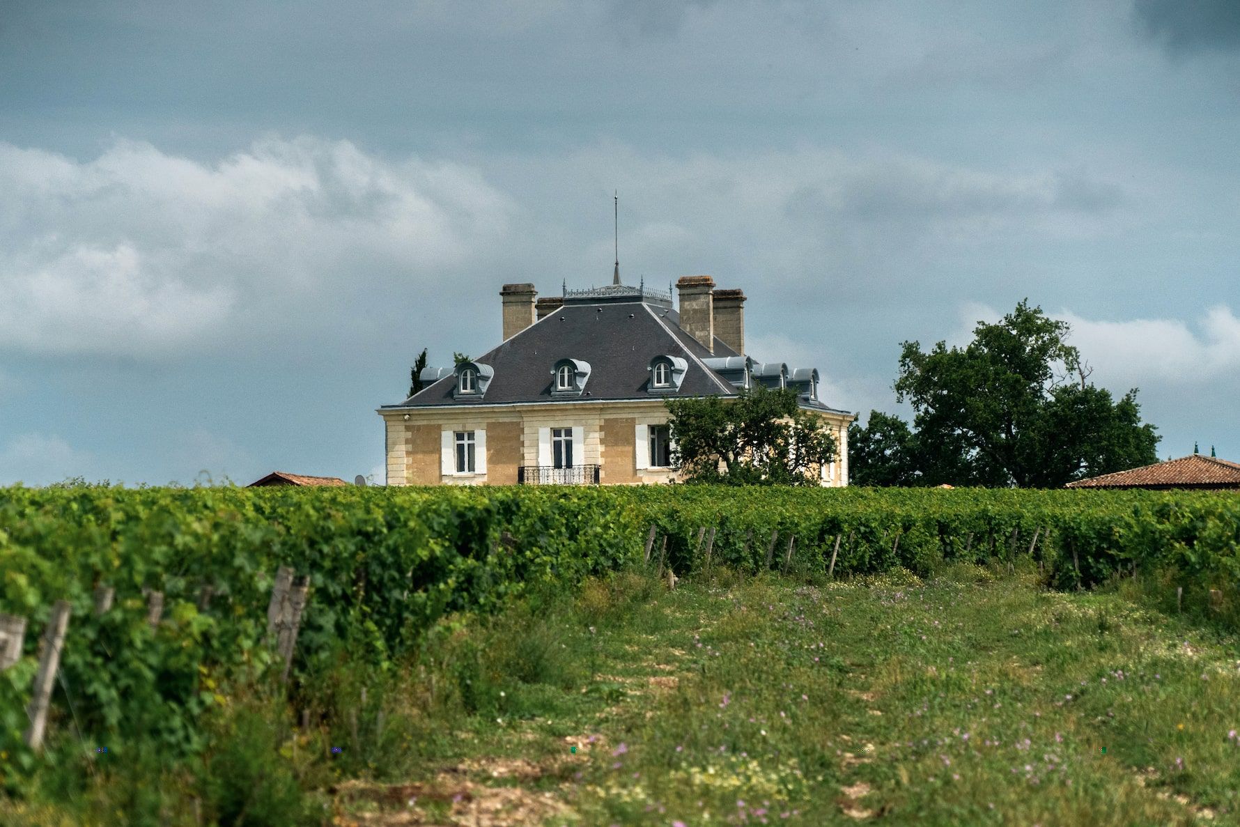 Haut Bailly 10.jpg