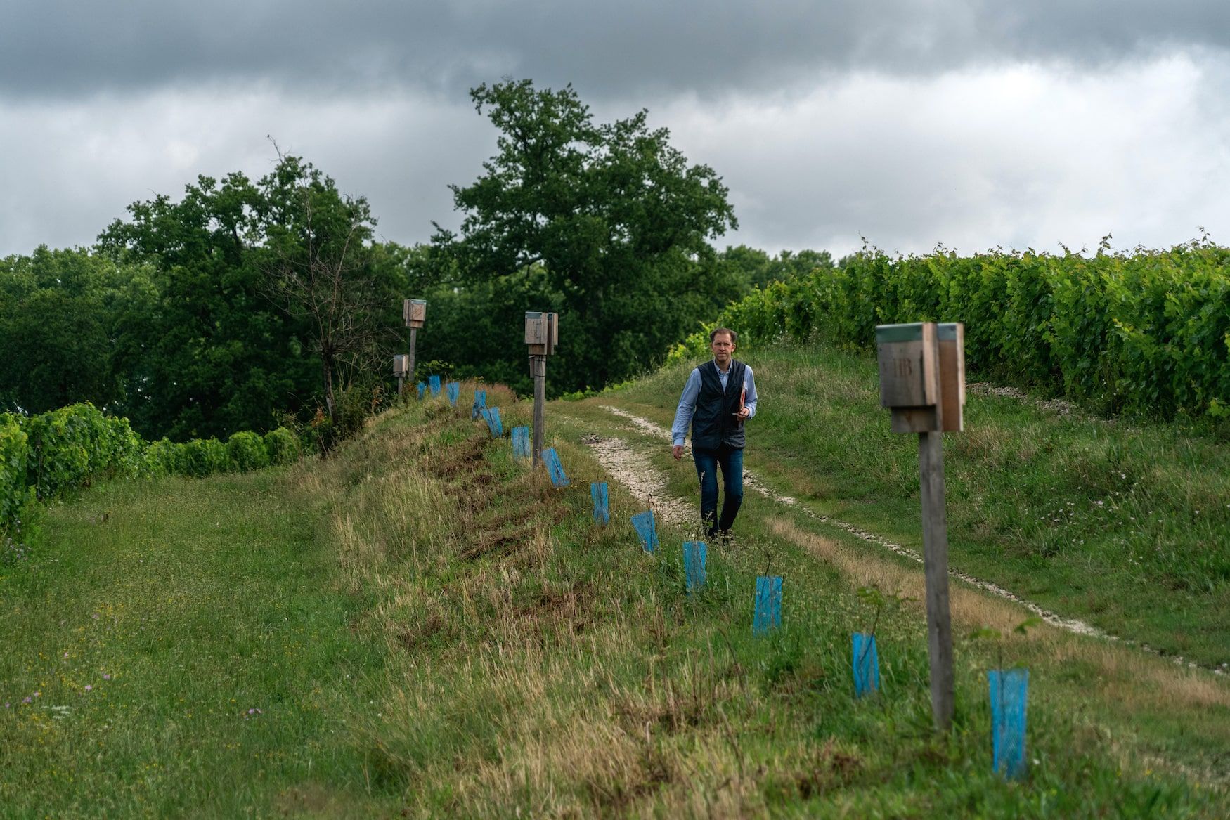 Haut Bailly 8.jpg