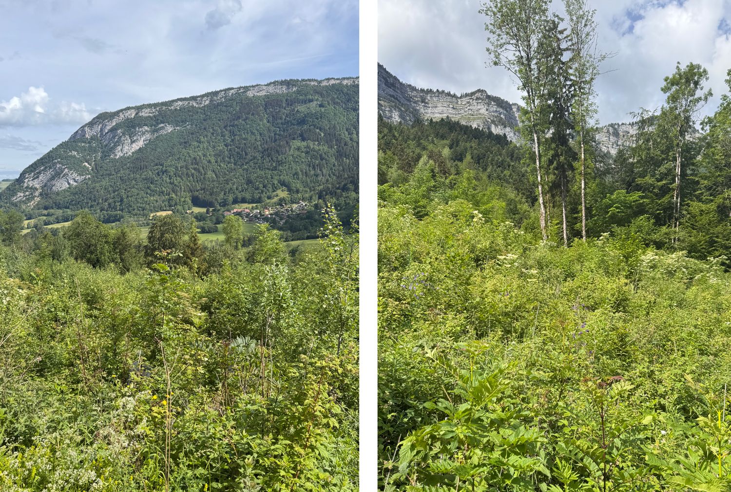 Haute-Savoie-RNA-4.jpg