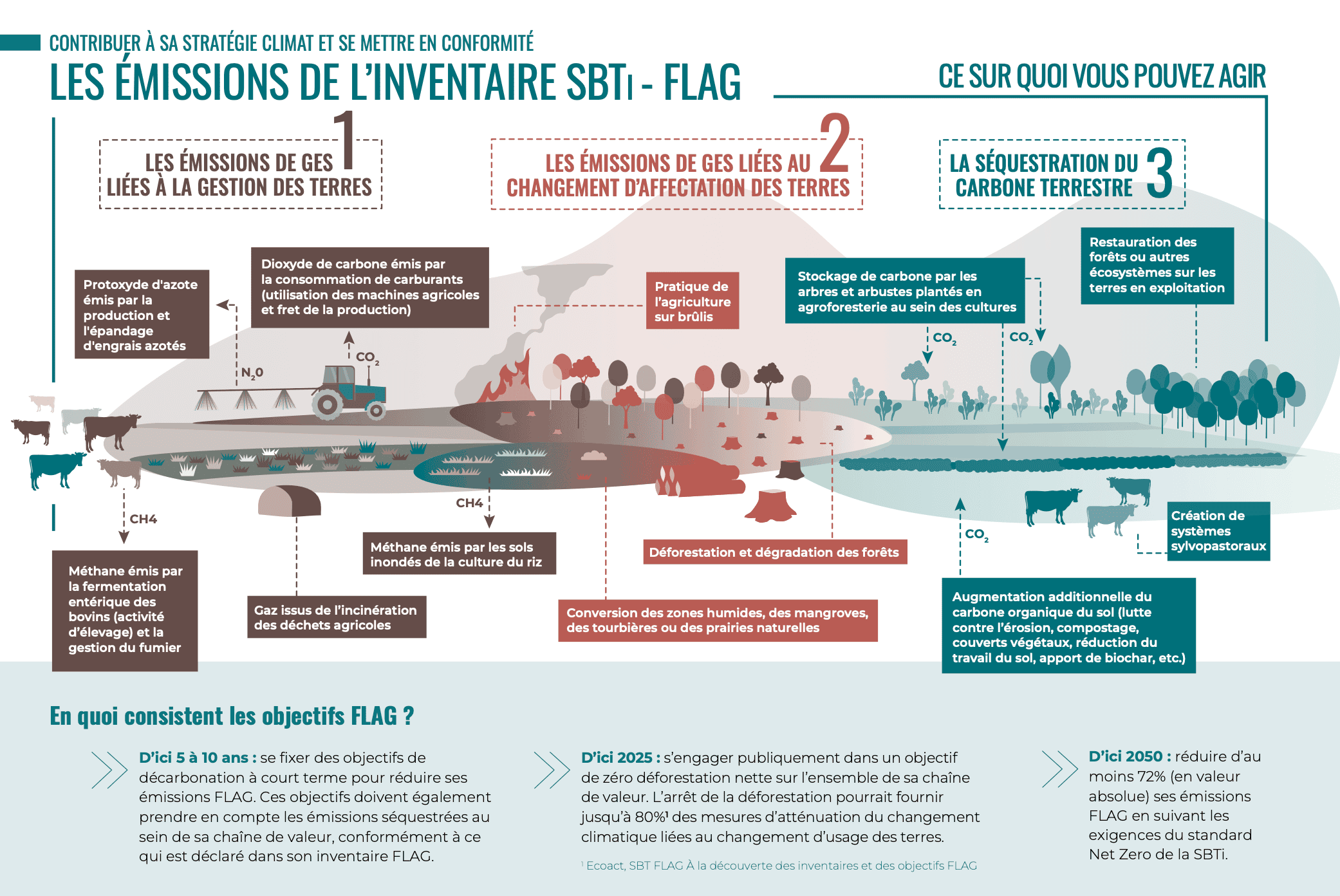 Infographie-SBTI-FLAG-FR.png