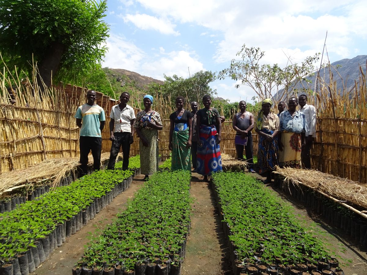 Malawi_Makwangala-nursery-Chikanga_2022.jpg