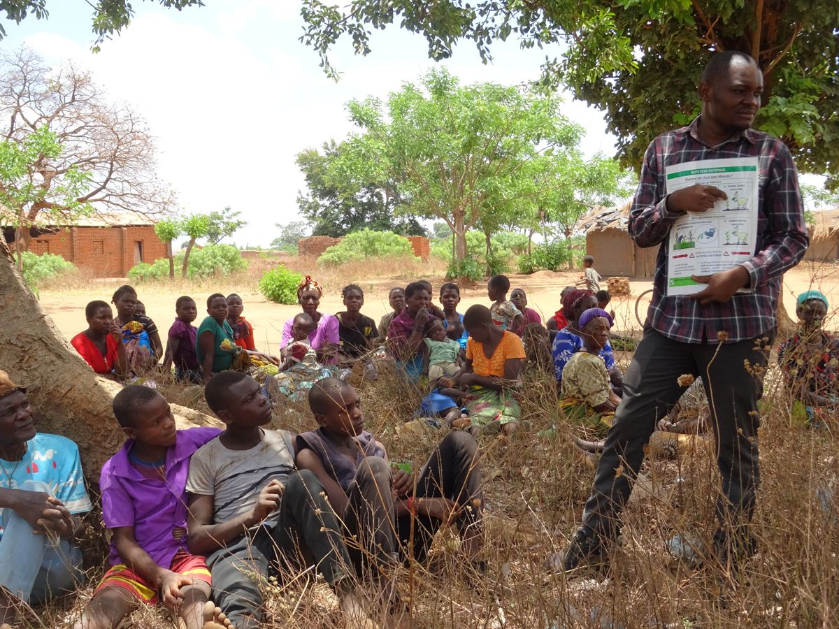 Malawi_Training-outplanting-Dilawo-group-Chilembwe_2022.jpg