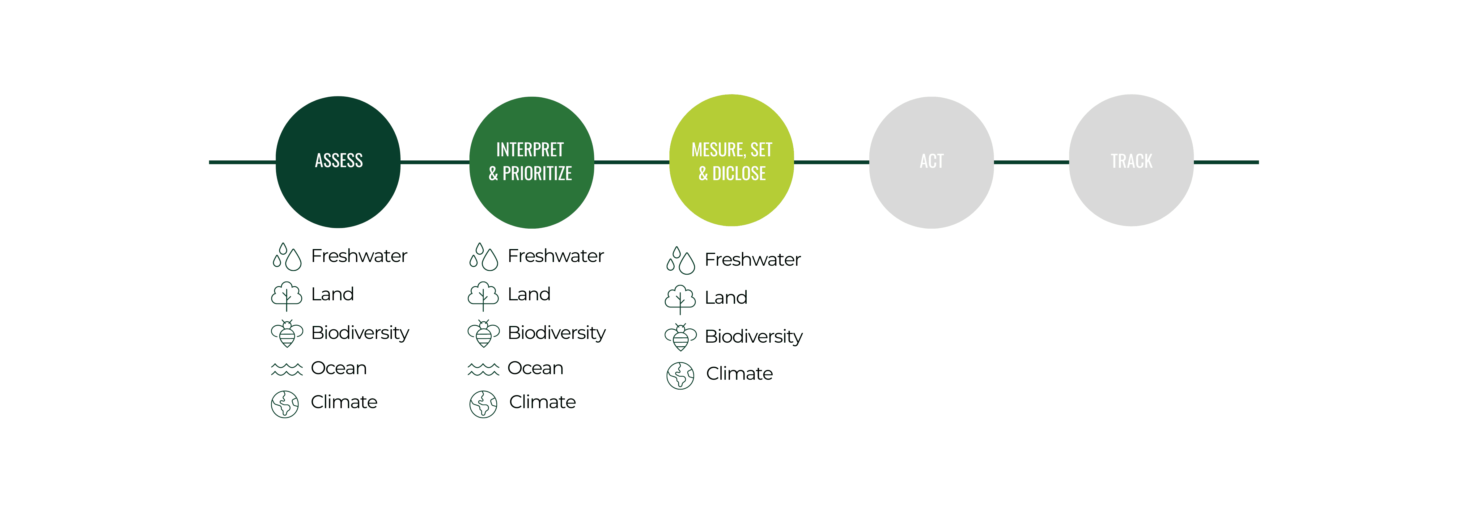 SBTn Process