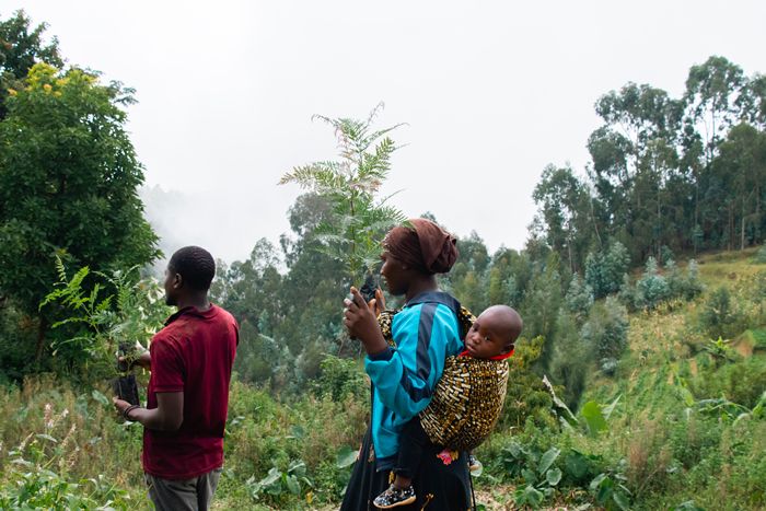 Morogoro-May-2023-planting-in-buffer-zone.jpg