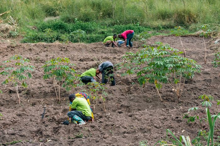 Morogoro-May-2023-tree-planting-agroforestry.jpg