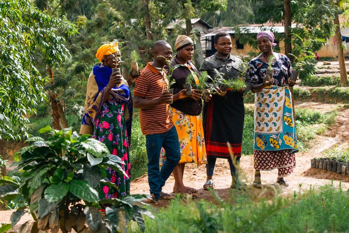 Morogoro-May-2023-women-in-tree-nursery.jpg