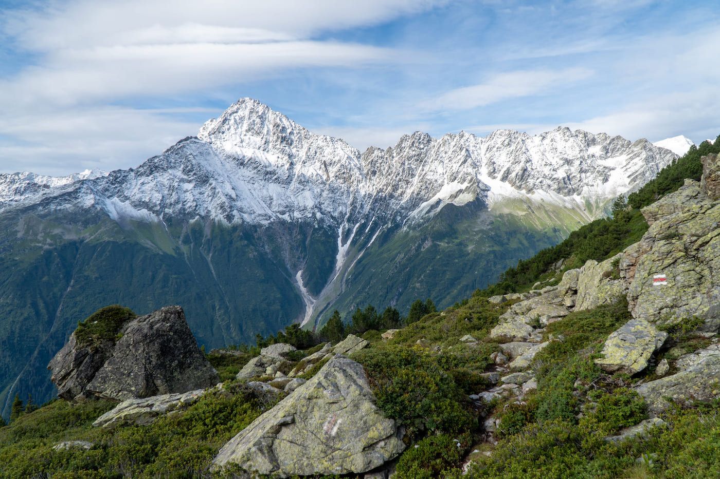 Paysage de montagne enneigée avec arolière au premier plan, Alpes suisses