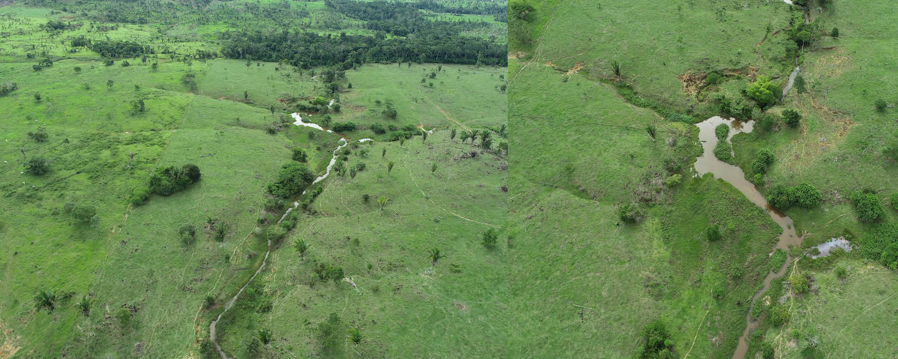 ReforesTerra Watershed by drone.jpg