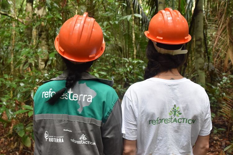 ReforesTerra X Reforest'Action.JPG