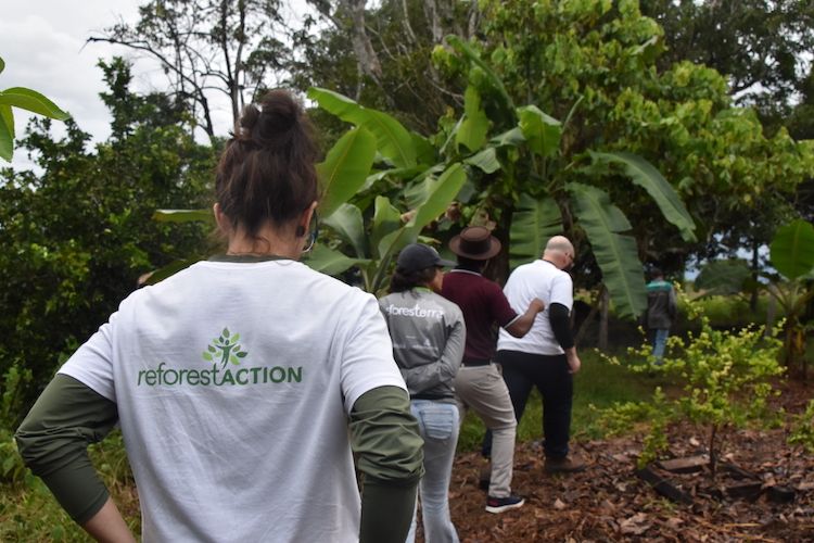 ReforesTerra field visit 1.JPG