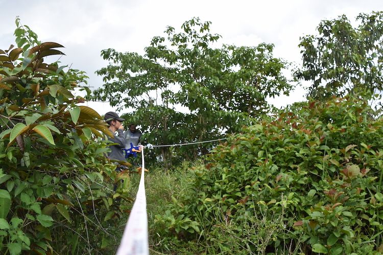 ReforesTerra field visit 2.JPG