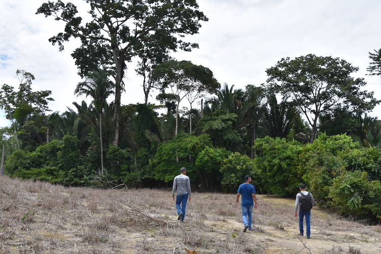 ReforesTerra field visit 5.JPG