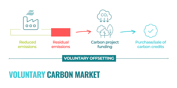 Voluntary carbon market.png