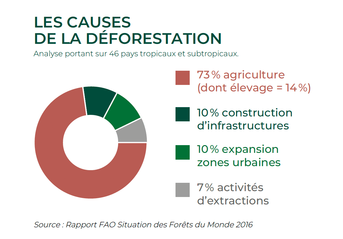 causes-deforestation.png