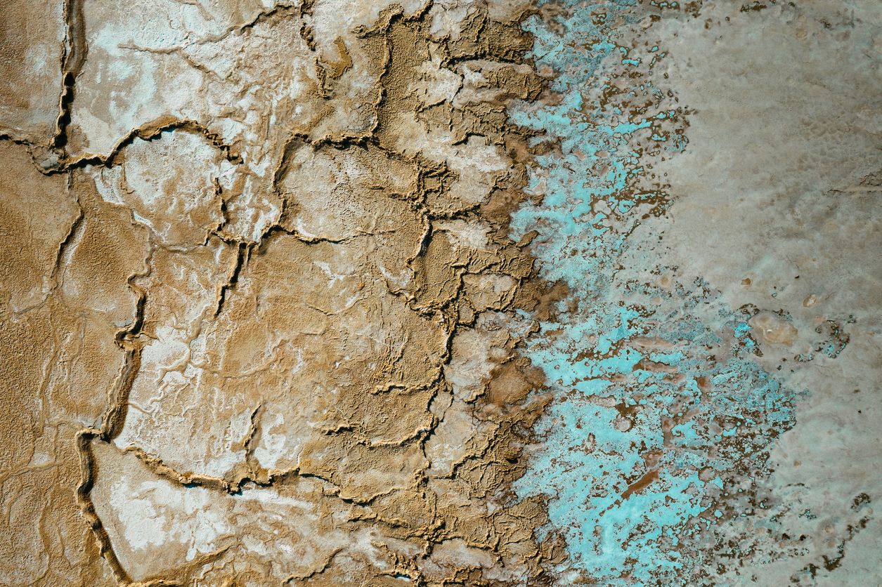 iStock-1324721430.jpg