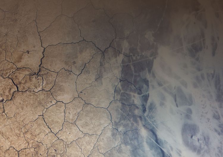 3 raisons d’anticiper votre stratégie climat avec des crédits carbone fondés sur la nature