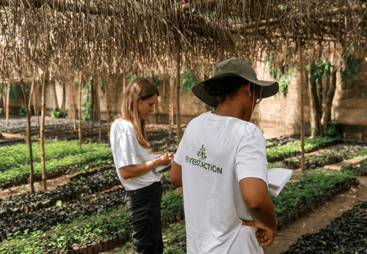 Togo: our expertise at the service of a high-integrity carbon project