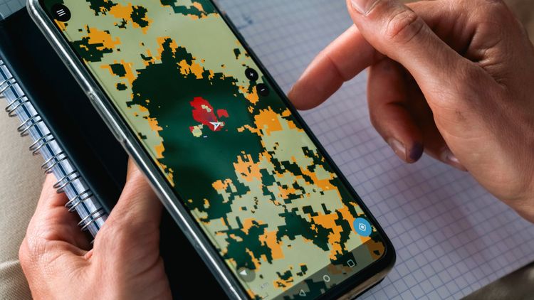 The Performance Benchmark in the Verra VM0047 Methodology: A Lever for Integrity in ARR Projects