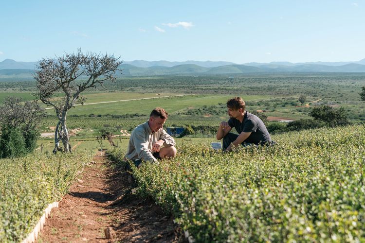 La certification carbone au service de la restauration du vivant