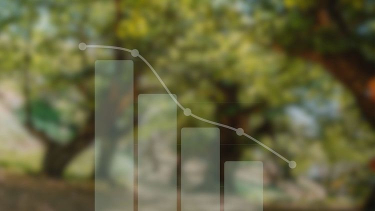 SBTi et contribution carbone : les Solutions fondées sur la Nature, bientôt incontournables ?