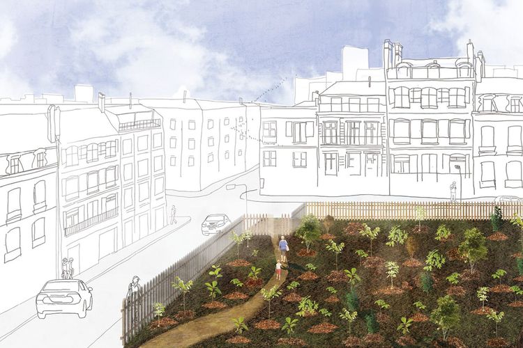 What is an Urban Forest?