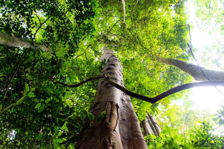 Carole Renner : « Faciliter l’évaluation de l’impact climat et améliorer le design de nos projets de façon continue »