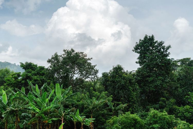 Notre expertise combinée au service des solutions climatiques