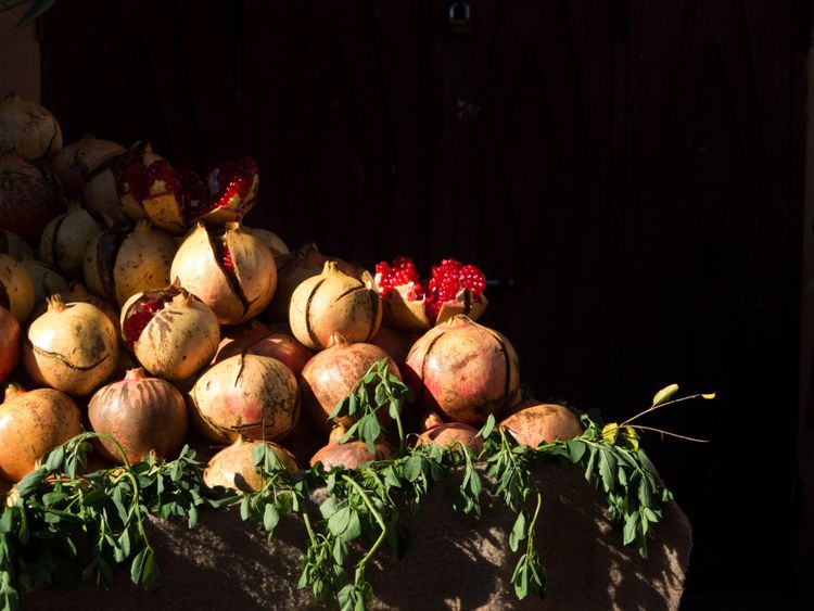 From Carbon to Local Value Creation: Our Approach to Benefit Sharing