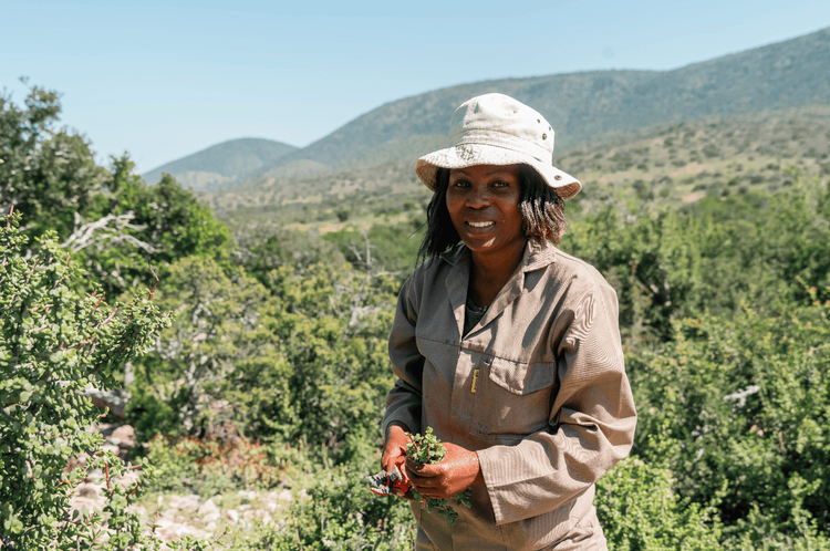 How to include local communities to develop an adapted and sustainable project?