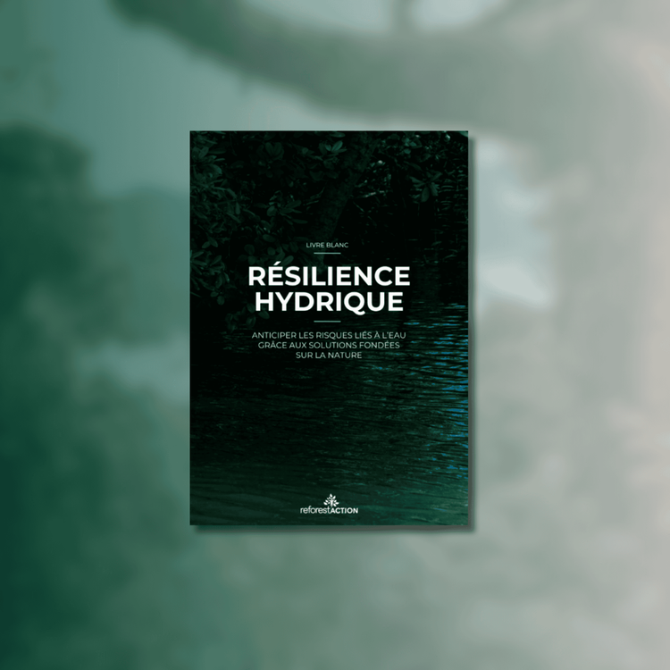 Résilience Hydrique : Anticiper les risques liés à l'eau grâce aux Solutions Fondées sur la Nature