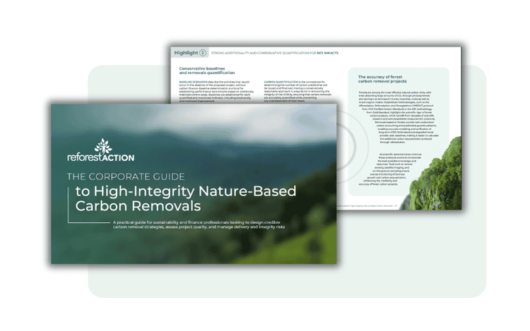 Livre-blanc-offsetting