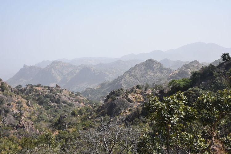 Pankshin : des haies vives au service d’une agriculture plus durable 