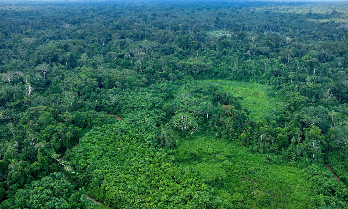 Jungle péruvienne vue en drone